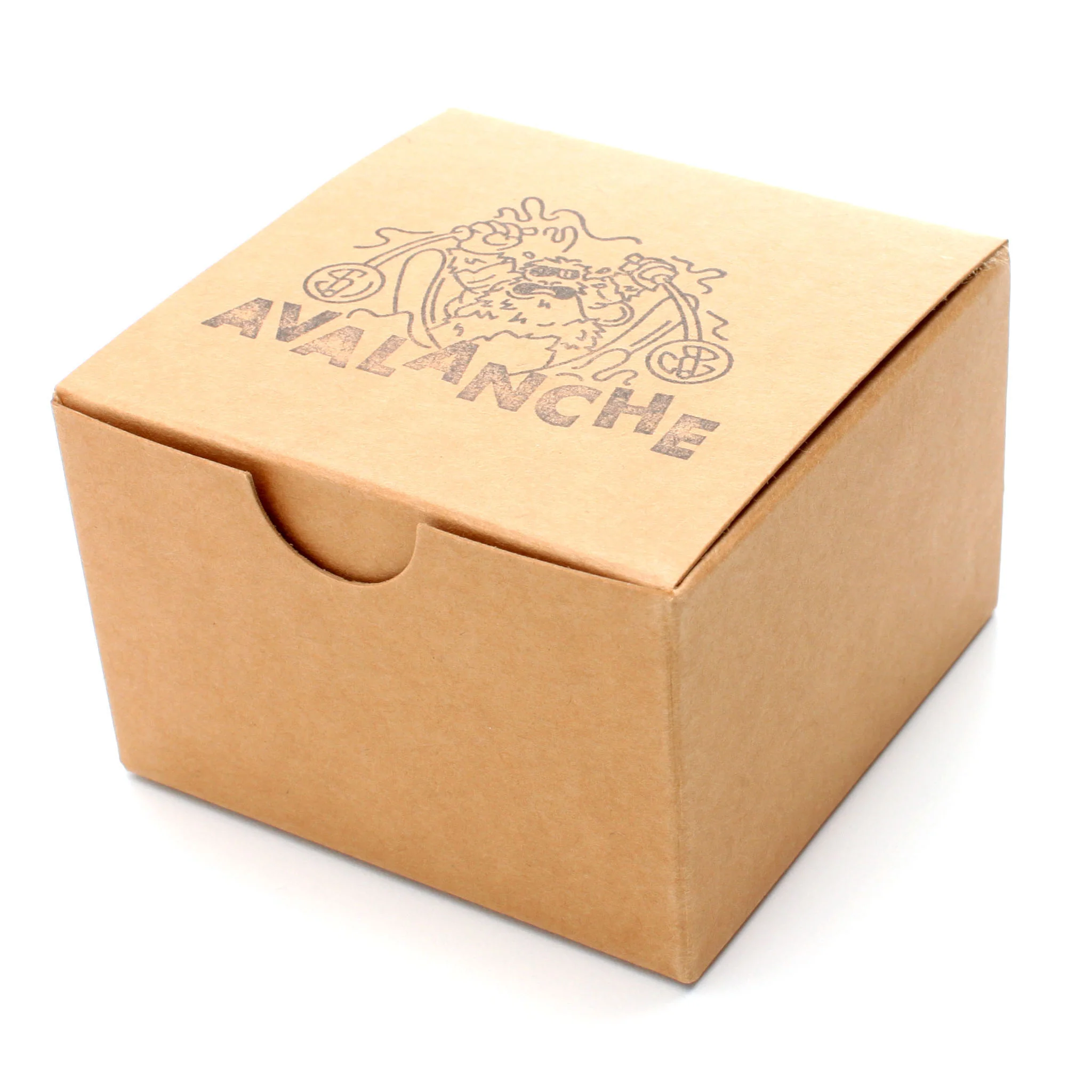 Avalanche - Image 7
