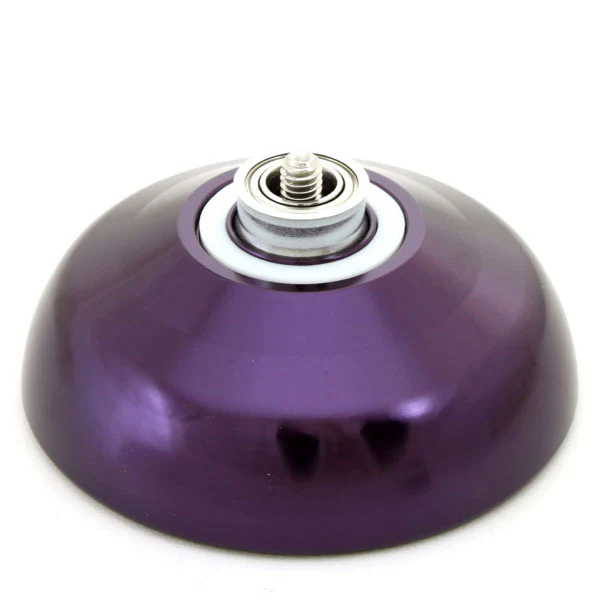 Holly 5 - Image 4