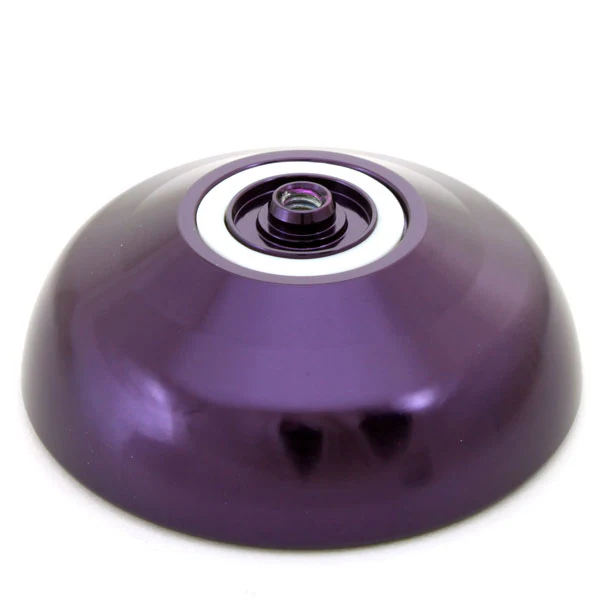 Holly 5 - Image 5
