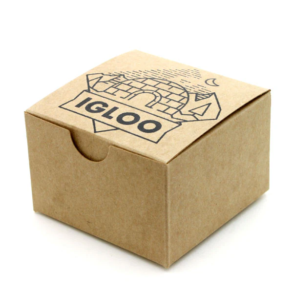 Igloo - Image 6