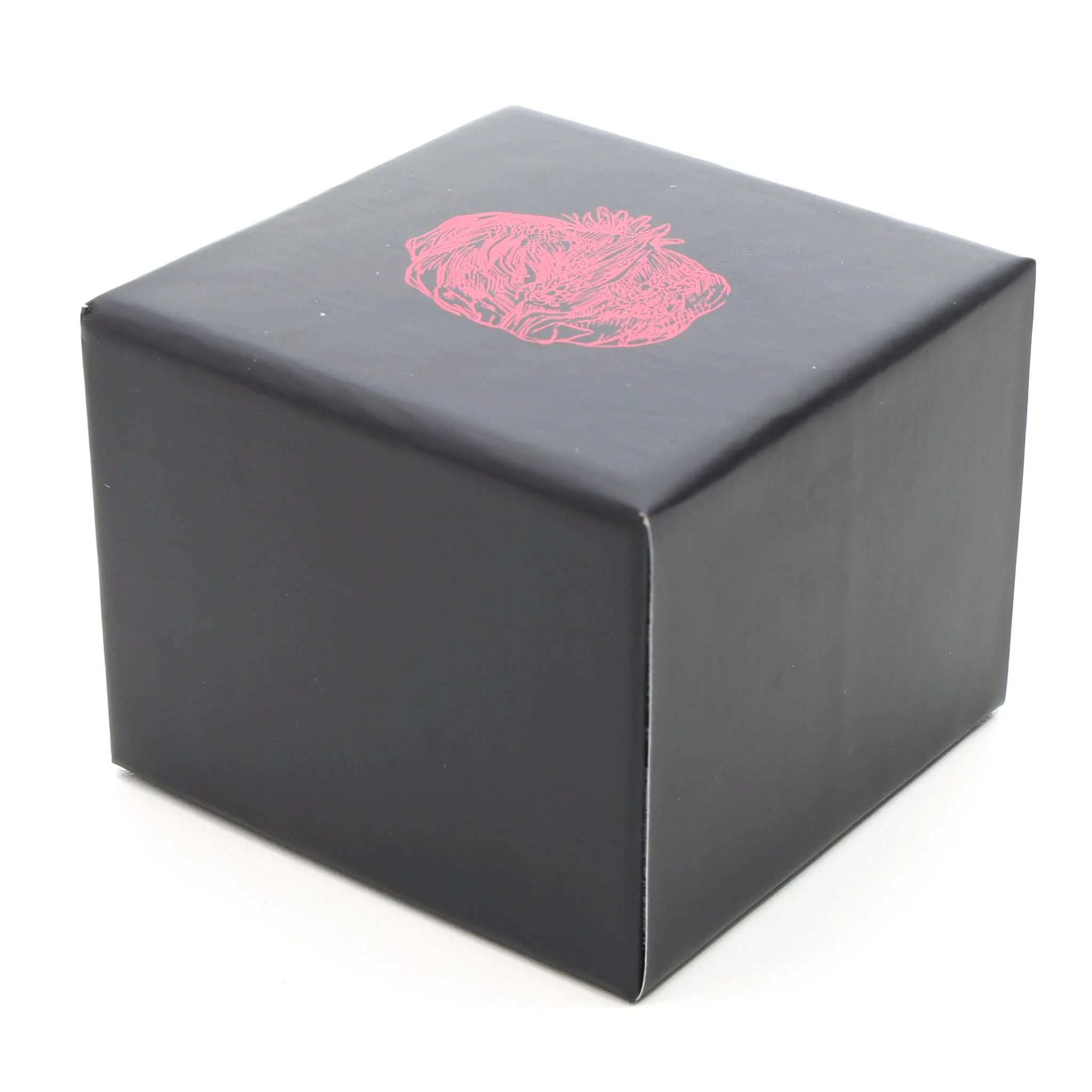 Obscura - Image 6