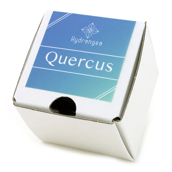 Quercus - Image 4