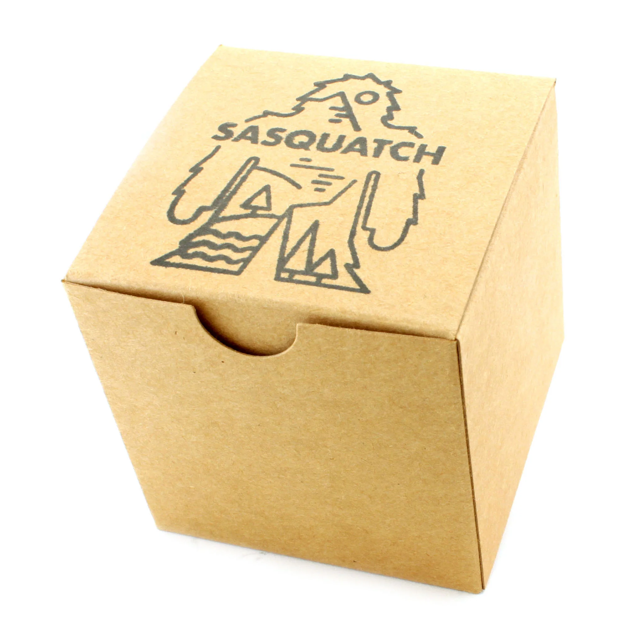 Sasquatch 2022 - Image 7