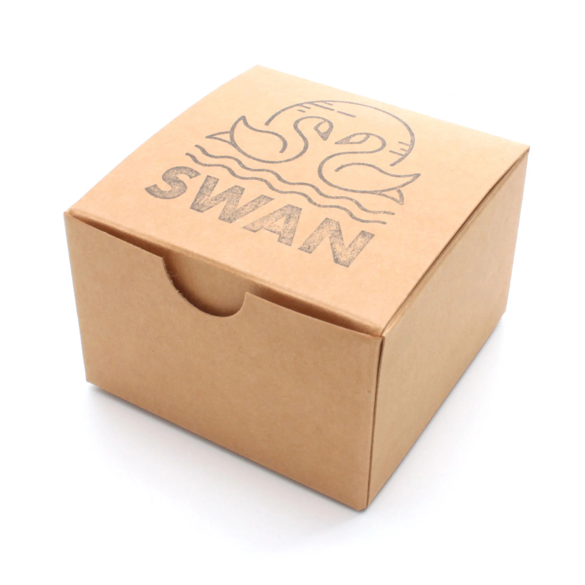 Swan - Image 7