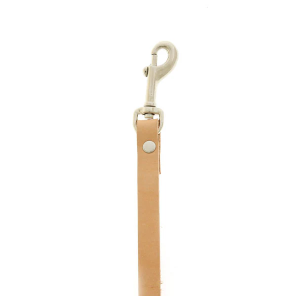 Unknown Descender Yo-Yo Holder - Image 6